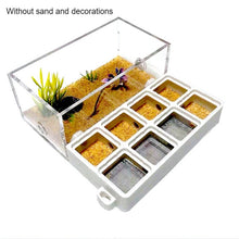Load image into Gallery viewer, 3D Printing Acrylic Flat Ant Farm Ecological Ant Nest with Feeding Area Ant House Anthill Pet Ant Workshop Moisturizing Pool New